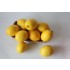 레몬 5kg - 무농약인증 레몬