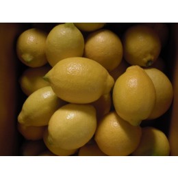 레몬 9kg - 무농약인증 레몬