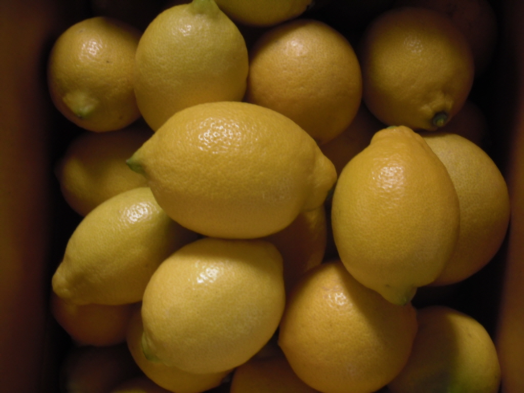 레몬 3kg - 무농약인증 레몬
