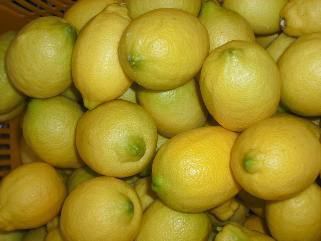 그린레몬 5kg - 무농약인증 레몬